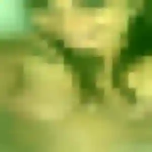 Photo de Naomi à Briollay (39 ans) - plan cul discret