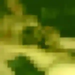 plan cul à Brive-la-Gaillarde : photo de Ornella, 23 ans - sans engagement