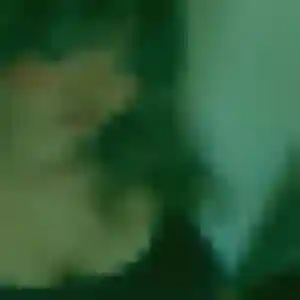 Photo de Roxane à Brouilla (31 ans) - plan cul discret