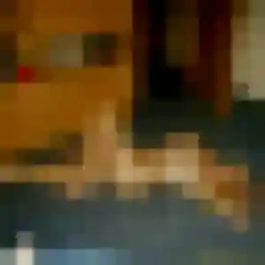Photo perso de Fanny, 26 ans à Bruges-Capbis-Mifaget - plan discret