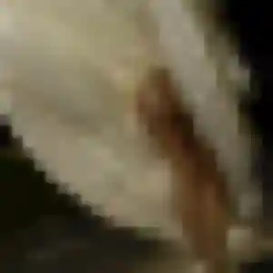 Veronique (29 ans) à Buchy attend une rencontre rapidement