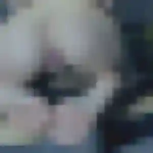 Dana (30 ans) à Burlats attend un plan cul maintenant