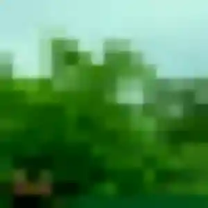 Rebecca, fille de 45 ans cherche plan cul à Buzet-sur-Baïse