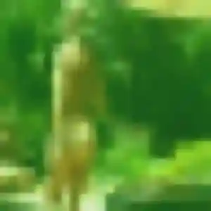 Photo perso de Jade, 35 ans à Byans-sur-Doubs - plan discret