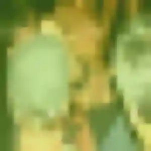 Profil de Cassandre à Cadillac-sur-Garonne (35 ans) - plan cul anonyme