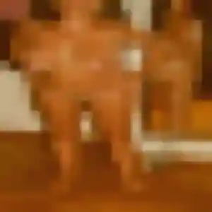 Photo exclusive de Nora, 34 ans à Caligny - rencontre coquine