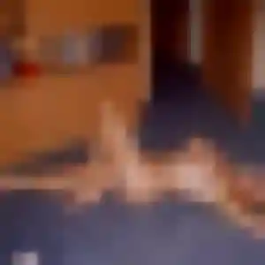 Ingrid, 26 ans, disponible à Cambrai pour une rencontre coquine