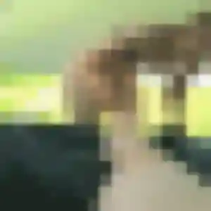 Christelle (41 ans) à Camoël propose une rencontre maintenant