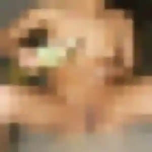 Profil de Soraya à Cannes-Écluse (25 ans) - plan cul anonyme