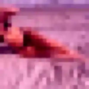 Photo perso de Typhaine, 33 ans à Cantin - plan discret