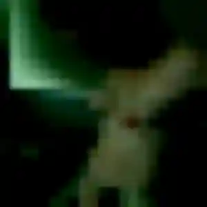 Jolie Marie-Helene, 32 ans à Cappelle-Brouck - voir sa photo