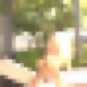 Daniela, femme de 26 ans cherche plan cul à Cappelle-la-Grande