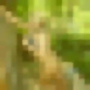 Photo exclusive de Elvire, 34 ans à Carcès - plan discret