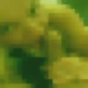 Photo de Odette à Cases-de-Pène (31 ans) - plan cul gratuit