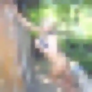 Doriane (39 ans) à Castelnau-Chalosse attend une rencontre maintenant