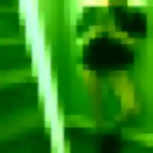 Chiara (40 ans) à Cevins cherche une rencontre ce soir