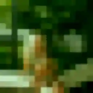 Photo de Caroline à Chaffois (29 ans) - plan cul discret