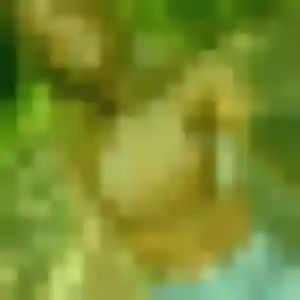 Vinciane, 45 ans, cherche un plan cul à Chagny