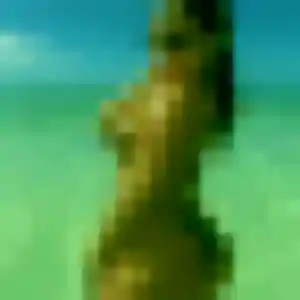 Jeanne, 29 ans, disponible à Chalampé pour une rencontre coquine