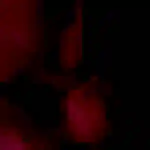 Photo de Pascale à Challans (36 ans) - plan cul anonyme