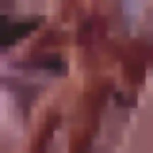 Contacte Camille, 35 ans à Chamarandes-Choignes gratuitement