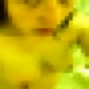 Profil de Wendy à Chamberet (41 ans) - plan cul anonyme