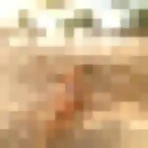 Photo privée de Christelle, 43 ans à Chamigny - plan discret