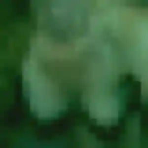 Jolie Monique, 37 ans à Champagne-Mouton - la contacter