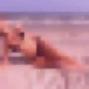 Profil de Corinne à Champagné-Saint-Hilaire (43 ans) - plan cul gratuit