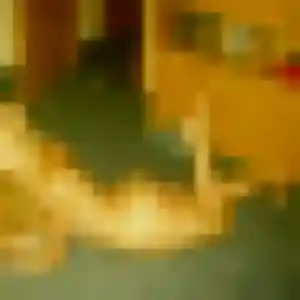 Suzanne, 29 ans, dispo pour plan cul à Champagné-Saint-Hilaire