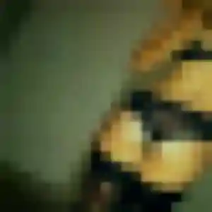 Photo perso de Leana, 27 ans à Champlost - rencontre sans lendemain