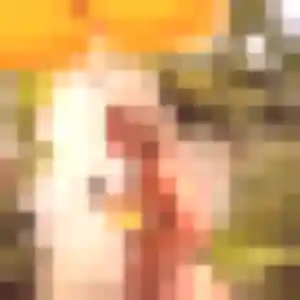 Photo perso de Verane, 43 ans à Charmois-l'Orgueilleux - rencontre coquine