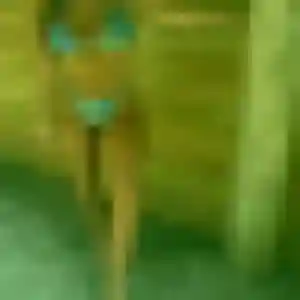 Découvre Fanny, 33 ans à Chartainvilliers en privé