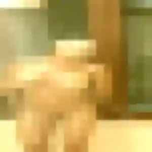 Johanna, 38 ans, disponible à Chartainvilliers pour une rencontre coquine
