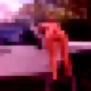 Photo de Alice à Charvieu-Chavagneux (37 ans) - plan cul gratuit