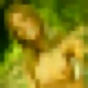 Contacte Gaia, 32 ans à Châteauneuf en t'inscrivant