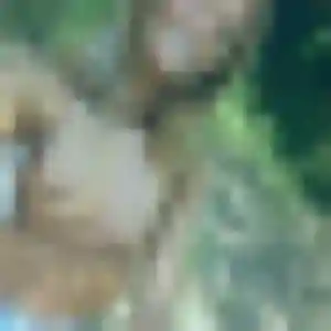Sexy Quitterie, 23 ans à Châtillon-sur-Marne - voir sa photo
