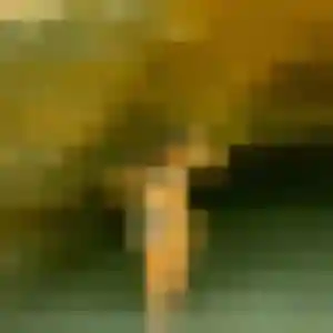 Photo de Nadine à Chauffailles (41 ans) - plan cul anonyme