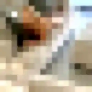 Zara, 45 ans, cherche un plan cul à Chaumont