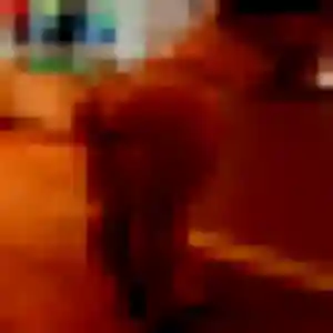 Belle Magalie, 32 ans à Chavagne - découvrir son profil