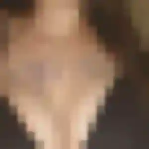 Albertine, 37 ans, cherche un plan cul à Chemilly-sur-Yonne
