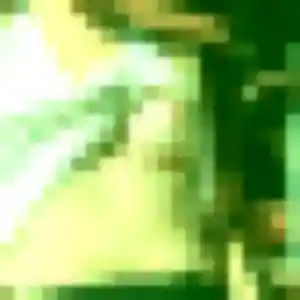 Photo de Orane à Chenebier (29 ans) - plan cul anonyme