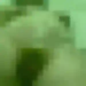 Bertrane, fille de 25 ans cherche plan cul à Chevannes