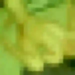 Contacte Erika, 33 ans à Civrac-en-Médoc en privé