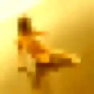 Bernadette, 31 ans, connectée à Clavette pour une rencontre coquine