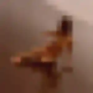 Sexy Giulia, 32 ans à Combles-en-Barrois - voir sa photo