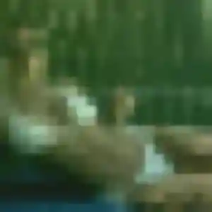 Isabelle, 44 ans, connectée à Comines pour une rencontre coquine