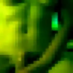 Photo privée de Lucienne, 44 ans à Condren - plan discret