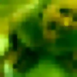 Photo de Zineb à Coquelles (44 ans) - plan cul anonyme