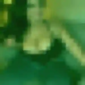 Anouk, 44 ans, en ligne à Corpe pour une rencontre coquine